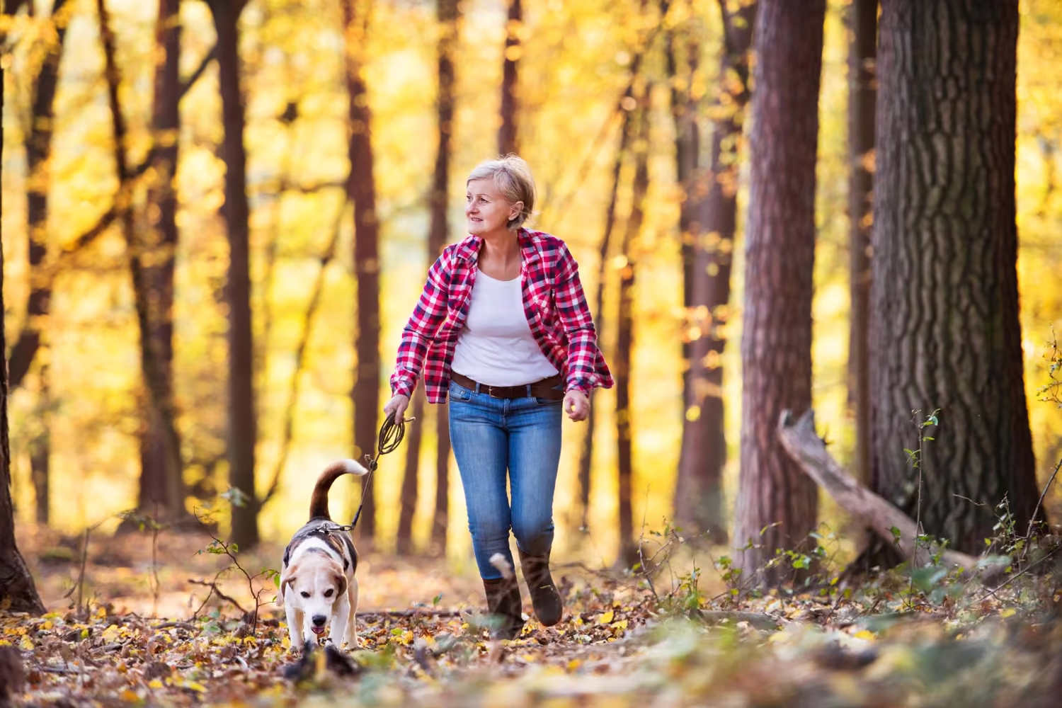 Ältere Frau geht mit ihrem Hund im Herbstwald spazieren, denn bei Rückenschmerzen im unteren Rücken hilft Bewegung meist mehr als Schonung